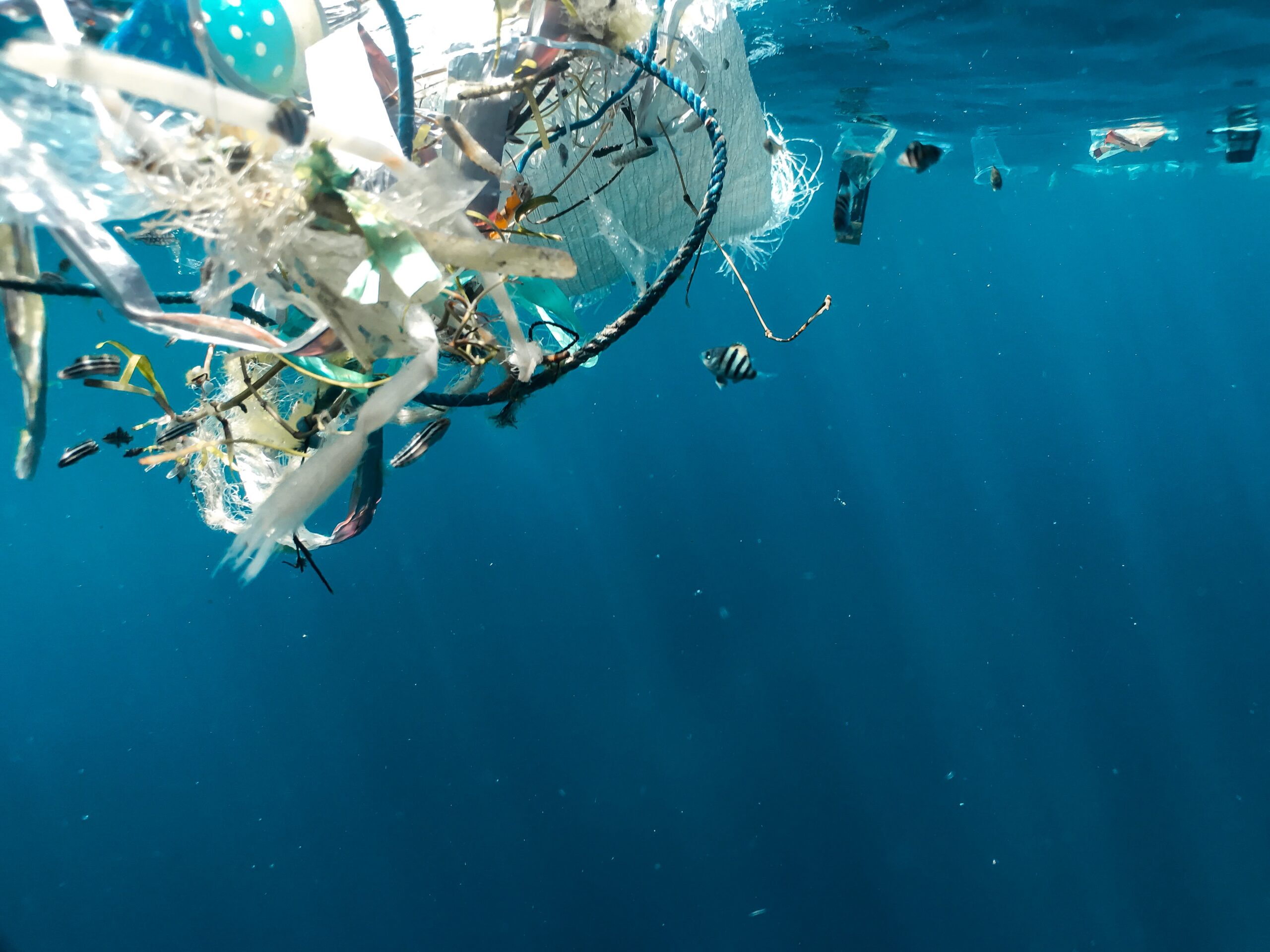 plastic ocean biodegradable glitter